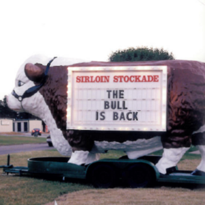 Stockade Companies - The Bull is Back